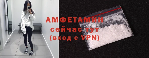 ГАЛЛЮЦИНОГЕННЫЕ ГРИБЫ Аркадак