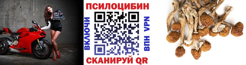 Галлюциногенные грибы ЛСД  наркотики  Палласовка 